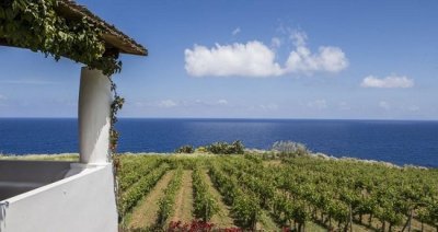Vini e profumi di Sicilia