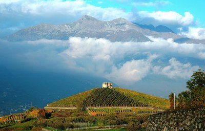 Geografia del vino: la Valle d'Aosta