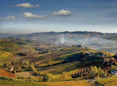 Geografia del vino: la Valpolicella e ... l'Amarone