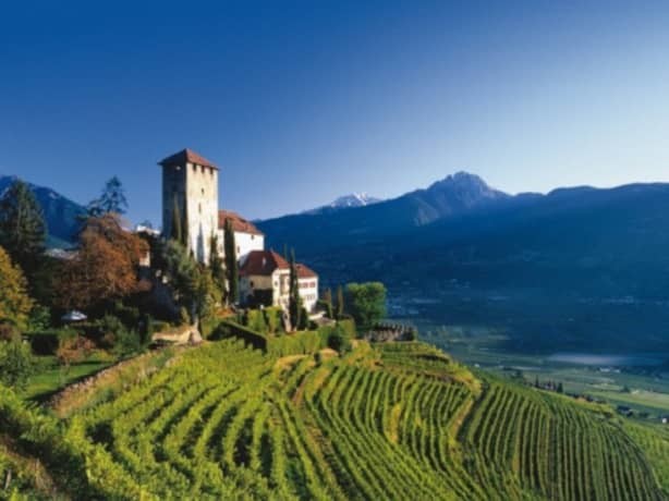 Geografia del vino: l'Alto Adige