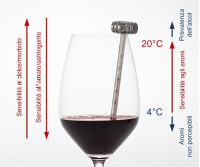 La giusta temperatura per bere il vino