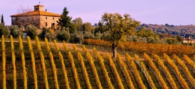 Toscana: il Sangiovese