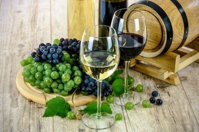 Cantina per il vino: la tradizione della famiglia Pieropan