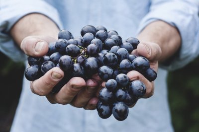 Fiera del vino: a Bardolino la storica festa dell'uva e del vino