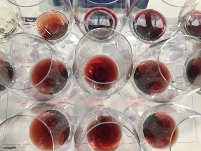 Vini piemontesi: i rossi più costosi della cantina Prunotto