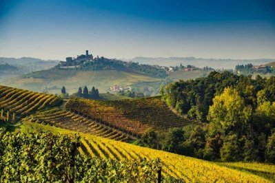 Piemonte e Borgogna, due storie di successo con tante analogie