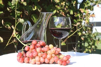 Bonarda Piemonte: un vino unico dal sapore piemontese. Come capire qual è l'originale
