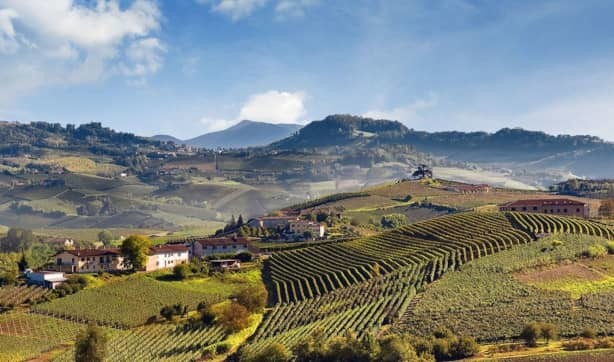 Un viaggio nel Piemonte del Vino: Langhe e Monferrato